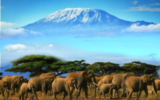 4 Days Nairobi City and Amboseli National Park Tour
