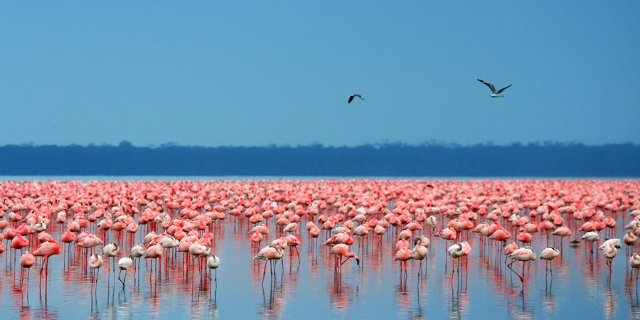 2 Days Hells Gate National Park Tour