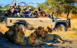 7 Days Maasai Mara and Serengeti Safari