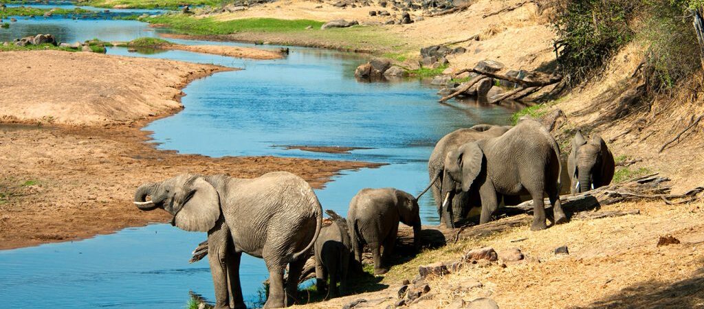 4 Days Mikumi and Saadani Park Safari