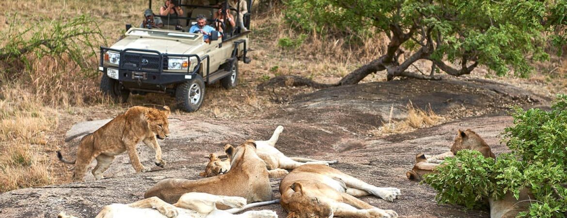 5 Days Serengeti National Park