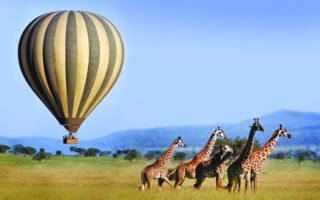 3 Days Serengeti balloon Safari