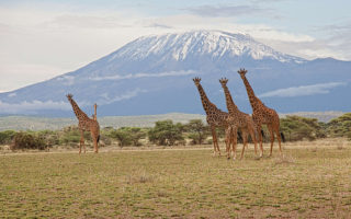 Amboseli National Park