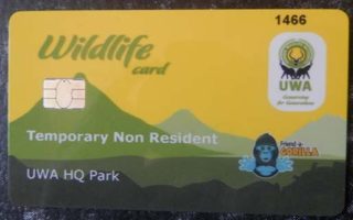 Gorilla Trekking Permits in Uganda