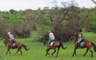 Uganda Wildlife Tour In Lake Mburo National Park