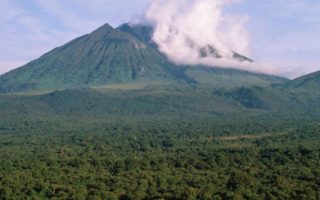 How to get to Virunga national park