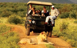 Uganda Safari