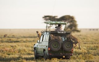 4 Days Serengeti and Ngorongoro Crater Safari