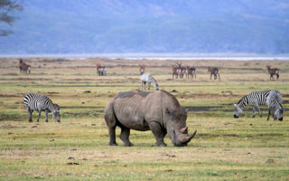 Tanzania Tours