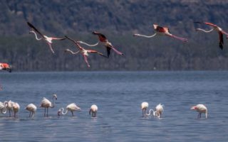 Weather and Climate of Lake Nakuru National Park
