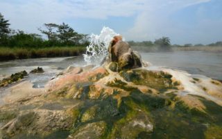 11 Days Uganda Safaris