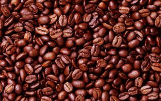 Coffee Plantations in Mbale