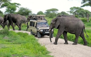 10 Days Rwanda & Tanzania Safari