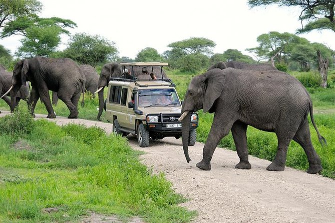10 Days Rwanda & Tanzania Safari