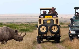 5 Days Best of Tanzania Safari