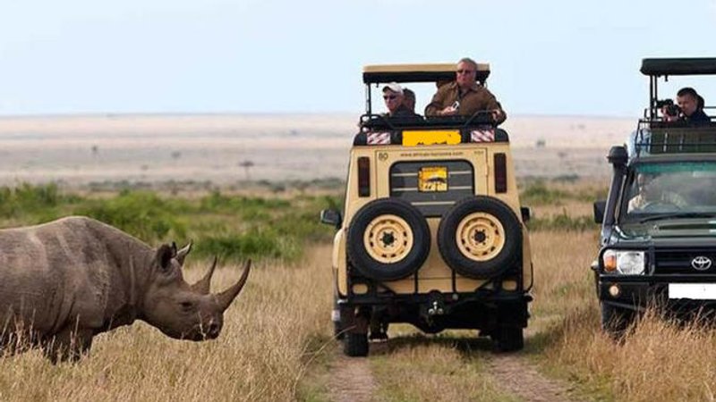 5 Days Best of Tanzania Safari