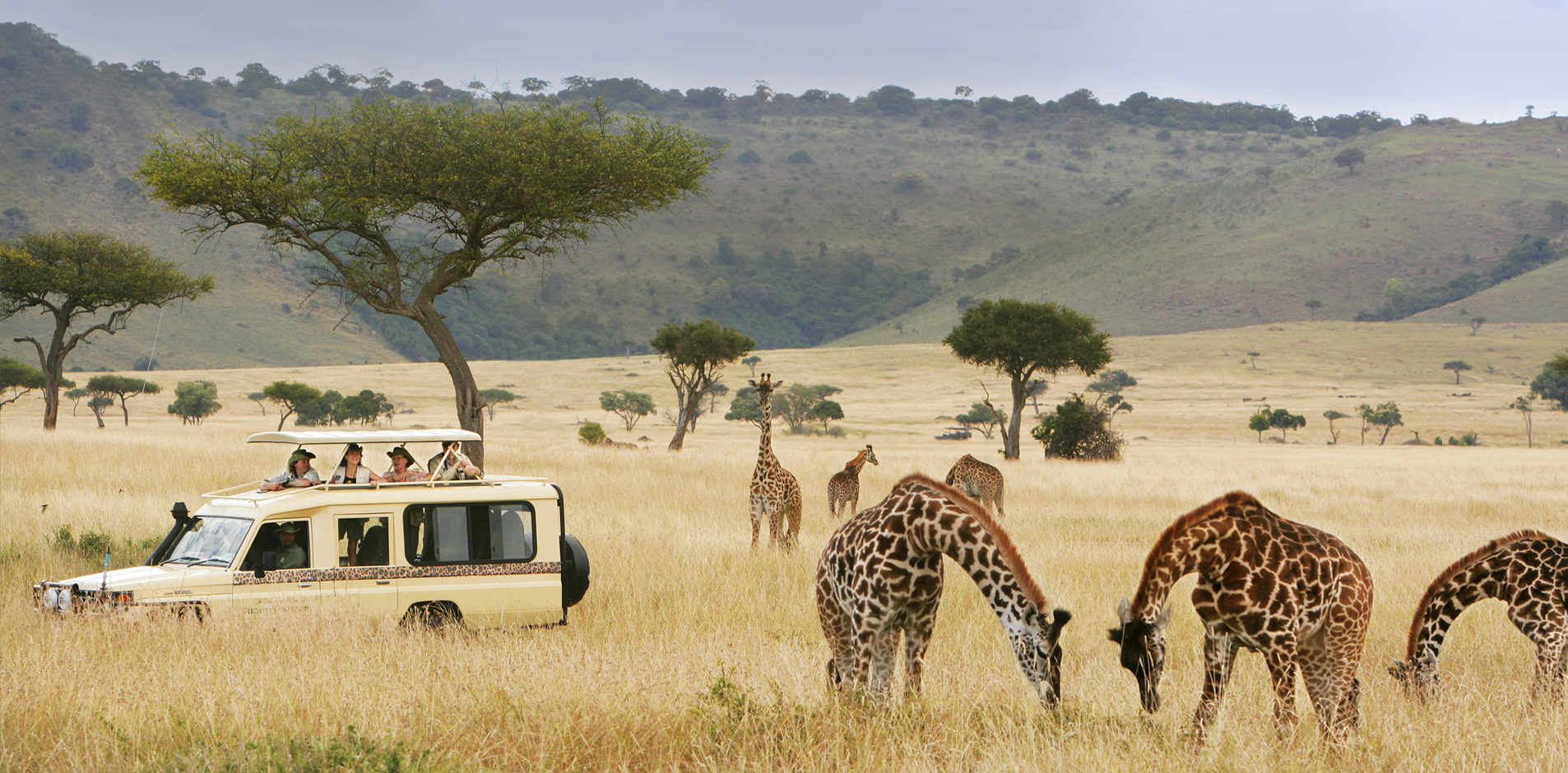5 Days Best of Tanzania Safari