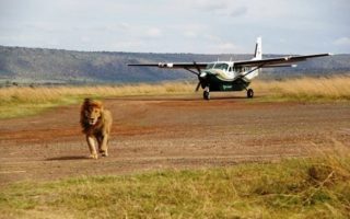3 Days fly in Uganda safari to Kidepo Valley National Park