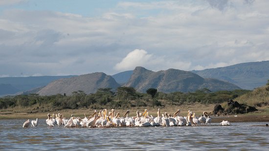 4 Days Lake Elementaita and Masai Mara safari 