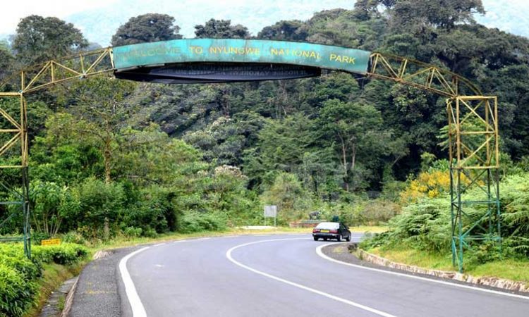 Nyungwe forest National Park fees 