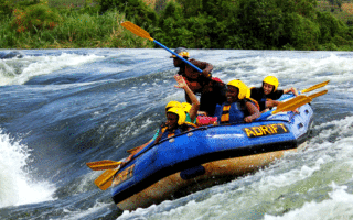5 Days Bwindi Gorilla trekking and Jinja white water rafting safari tour