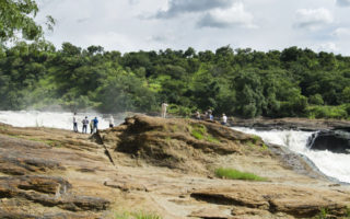 3 Days Karuma & Murchison Falls Safari