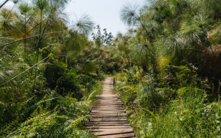 Bigodi Wetland Sanctuary