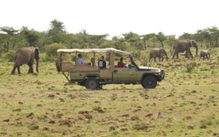 Top Uganda Safari Activities to do in 2021/2022