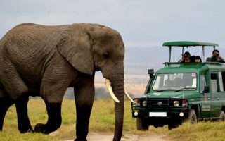 8 days Classic Rwanda Safari Tour
