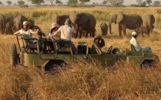 2 Days Fly to Kidepo Valley National Park Safari