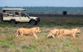 2 Days Murchison Falls Wildlife Tour