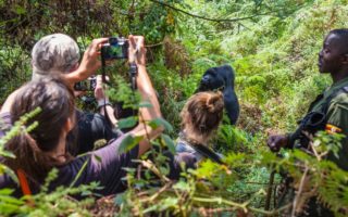 3 days Uganda Bwindi Habituation Safari