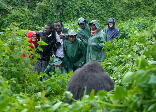 Why are there age limits for Gorilla Trekking?