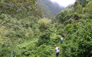 2 Days Mount Sabinyo in Mgahinga Gorilla National Park