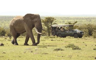 4 Days Uganda Golden Monkey Habituation Safari