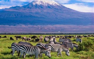 8 Days Luxury Bush and Beach Holiday Safari in Kenya