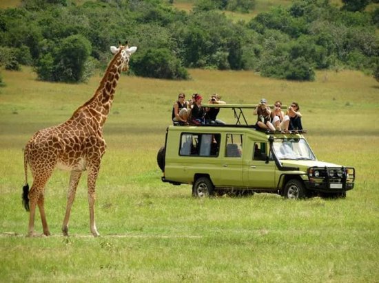 How Big Is Queen Elizabeth National Park Uganda