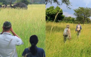 Top Things To Do In Semuliki National Park