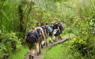 5 Days Kibale Chimpanzee and queen Elizabeth Wildlife Safari