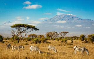 1 Day Amboseli National Park Trip