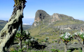 How to Summit Mount Elgon’s Wagagai Peak