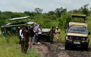 3 Days Rwanda Big Five Animals Tour