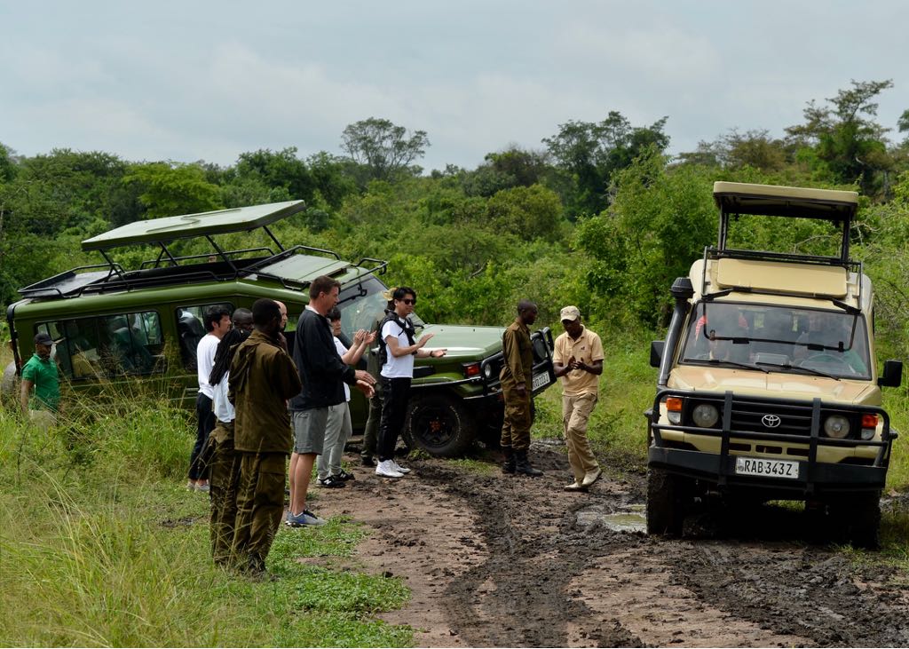 3 Days Rwanda Big Five Animals Tour