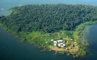 3 Days Uganda Ngamba Chimpanzee Holiday Tour