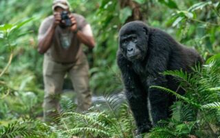10 Days Tanzania, Zanzibar and Uganda Bwindi Gorilla Safari