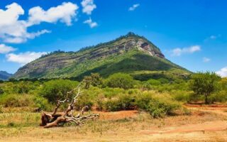 2 Days Tsavo East & Taita Hills Kenya/Saltlick Safari