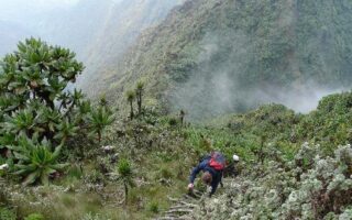 3 Days Mount Sabinyo Tour in Mgahinga Gorilla National Park