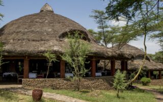 Serengeti Serena Safari Lodge
